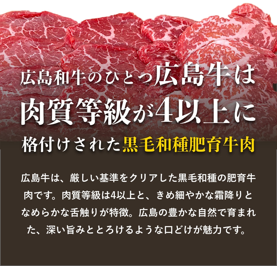<オンライン・初回限定>広島極上ハンバーグ 3個セット